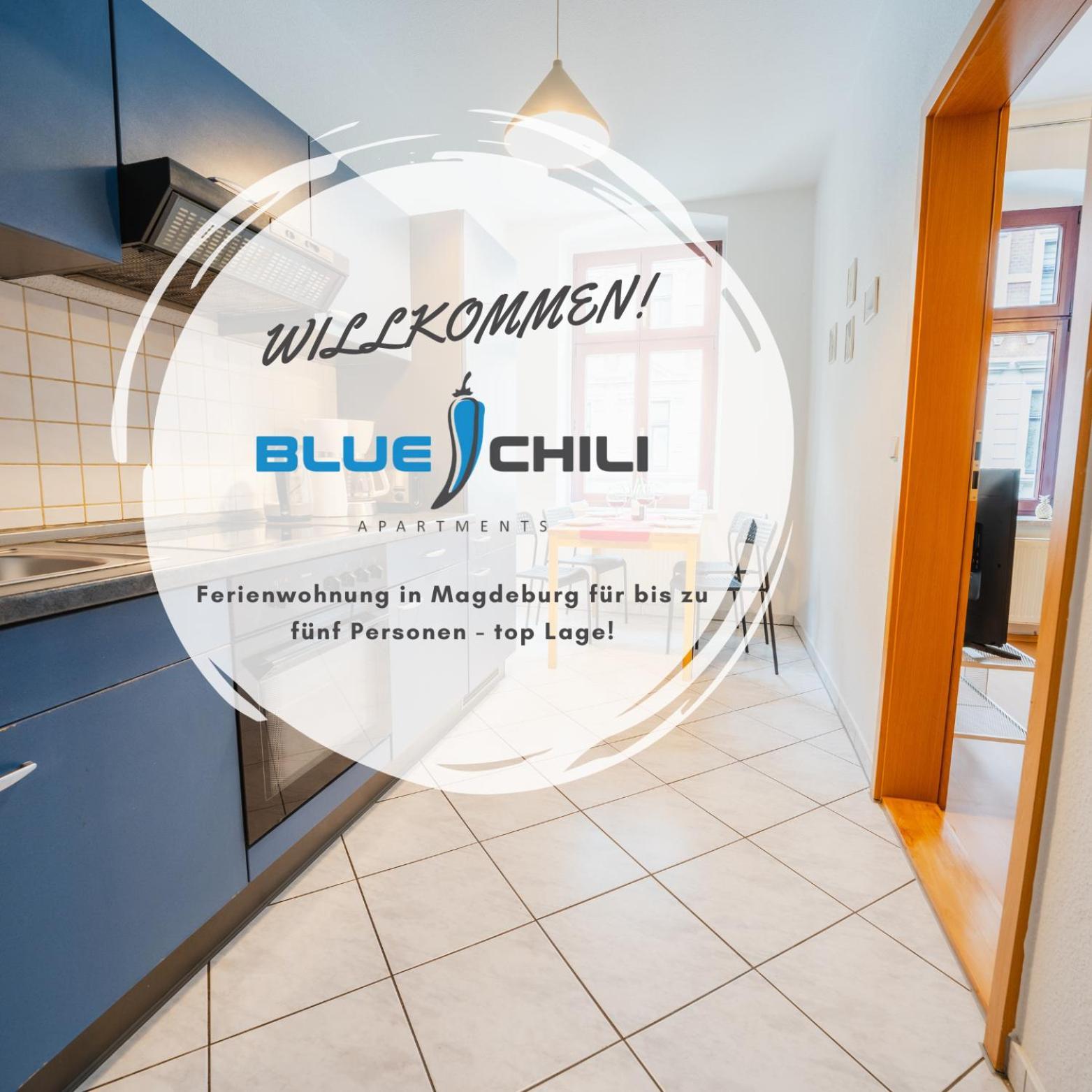 Blue Chili 08 - Magdeburg 2-Zimmer Altbau, Wi-Fi, 5 Pax Exterior photo